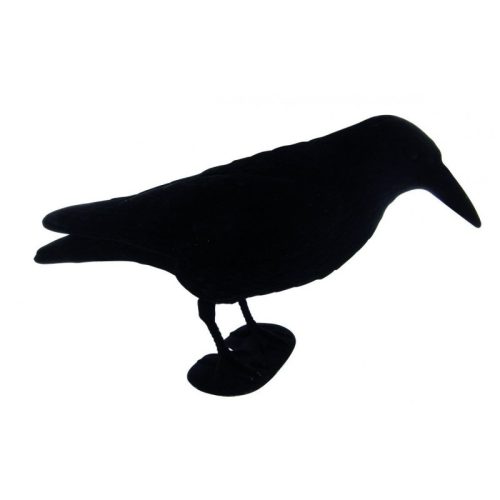 Forme de corvidé pleine