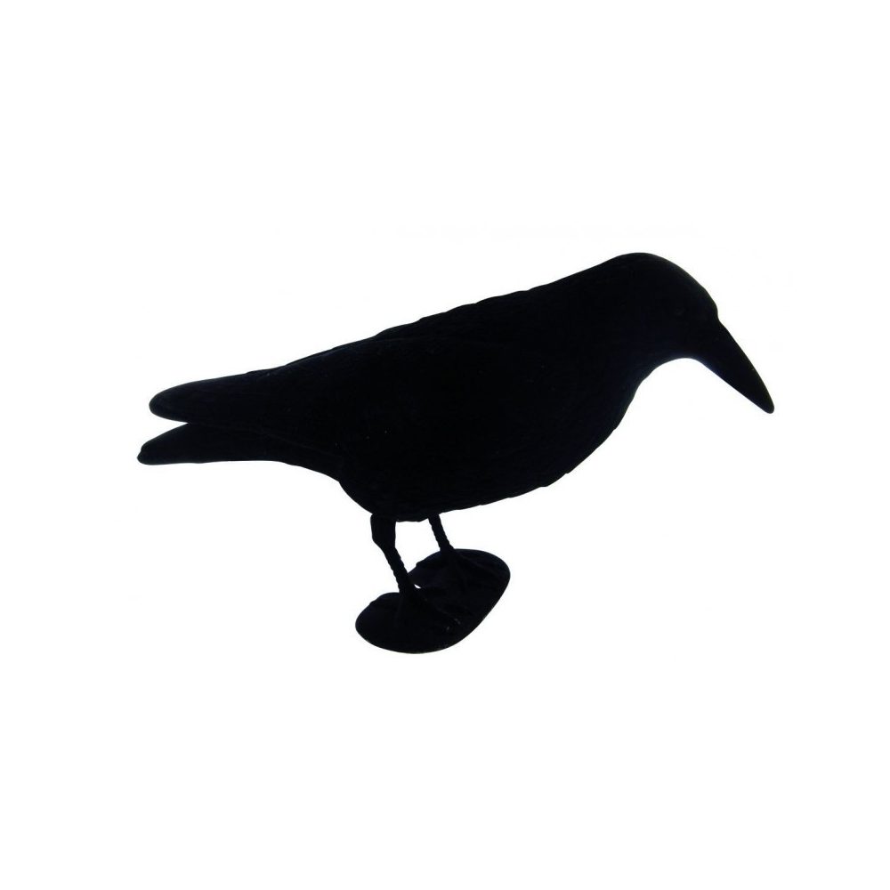 Forme de corvidé pleine