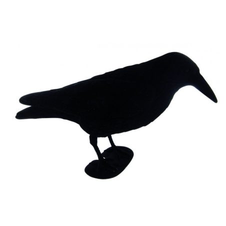 Forme de corvidé pleine