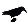 Forme de corvidé pleine