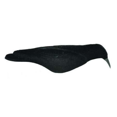 Forme de corvidé coquille