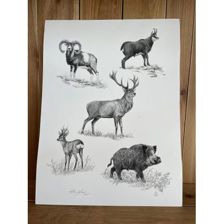 Poster, tirage limité Fine Art faune sauvage